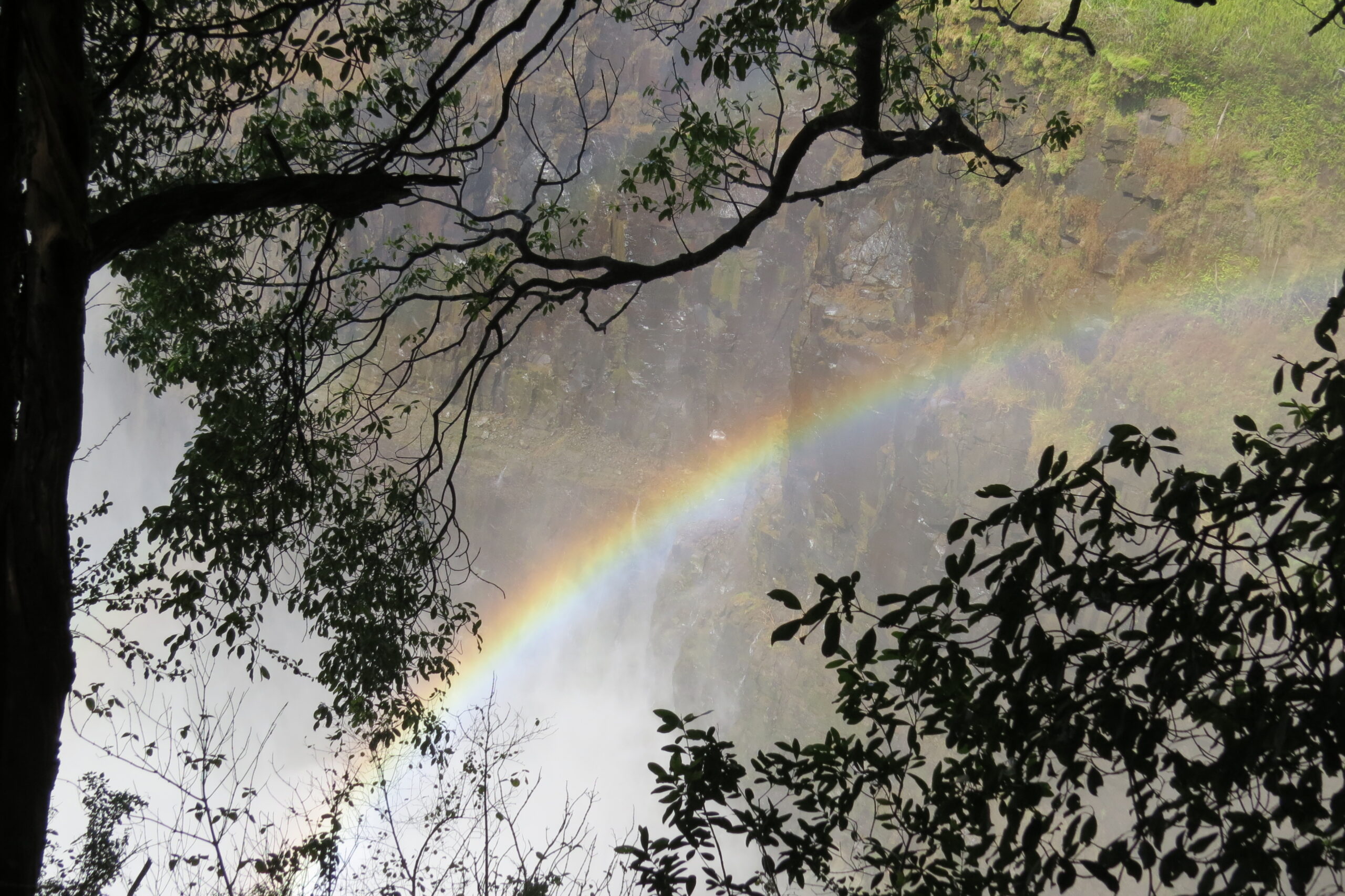 Mission Network creates series to infuse hope during harrowing times